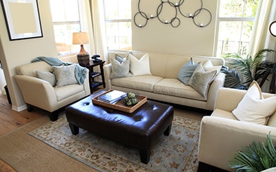 Couch & Upholstery cleaning Naples FL