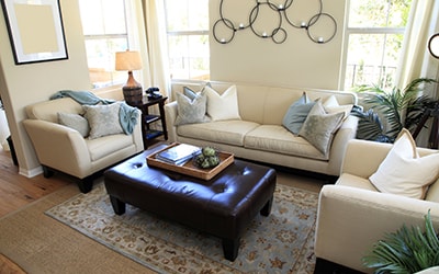Couch & Upholstery cleaning Naples FL